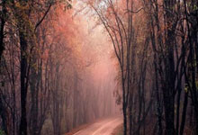 太疯狂了！宇树惊掉下巴的炸裂新技能！稳定性全面提升！