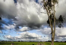 孩子的不可能三角定律