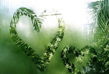 相信这个人，你就拥有未来