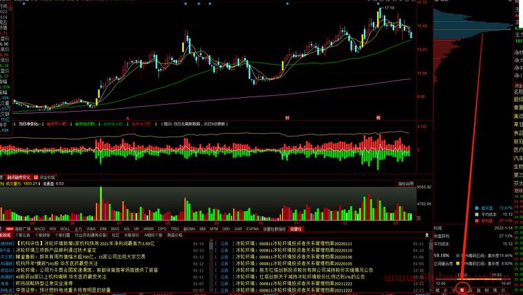 捕捉20厘米的核心技术：筹码分析与运用
