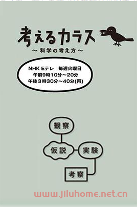 《像乌鸦一样思考》纪录片