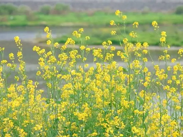 几组有关部门公开发布的数据，只讲数字不评论